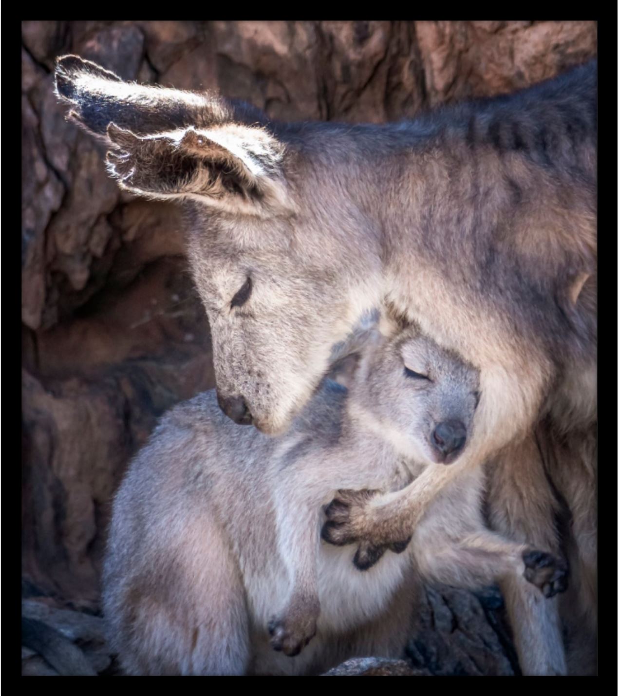 A TENDER MOMENT - FRAMED PRINT - 590 x 670mm