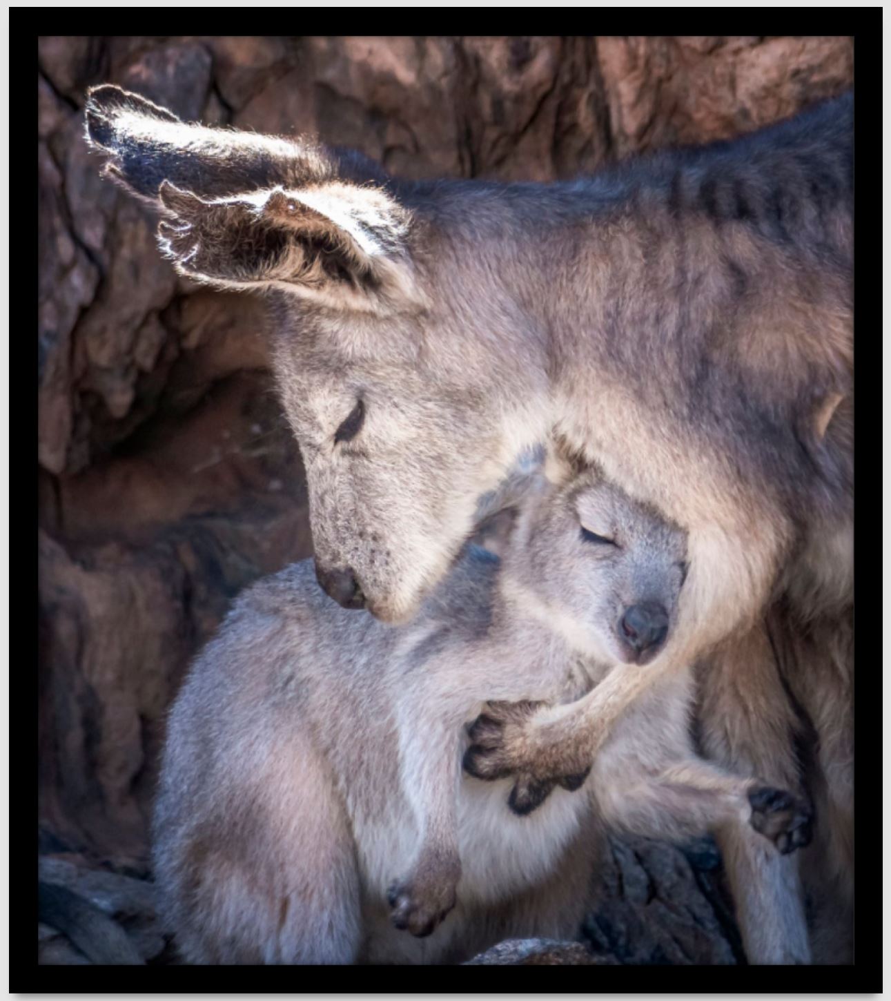 A TENDER MOMENT - FRAMED PRINT - 590 x 670mm